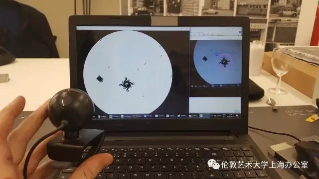 用三个字描述你在切尔西的经历: