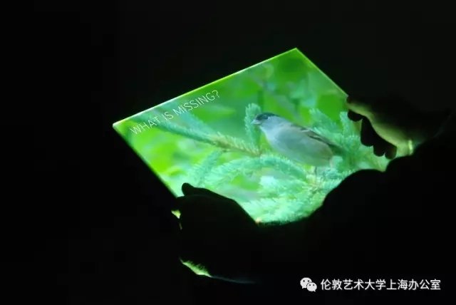 澳门皇庭娱乐