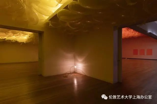 今天小编就带领大家来扒一扒这个暑假有