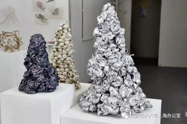 官网等官方平台