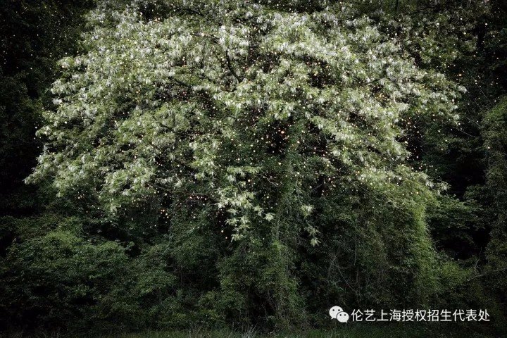 这是作为伦敦设计节在Vinyl Fa