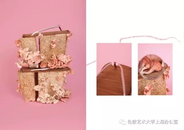 Soho参展作品的一部分
