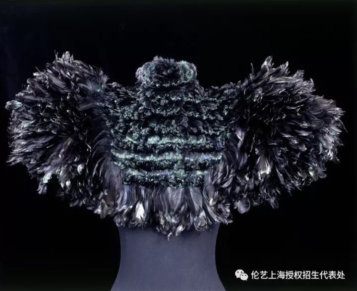 就能追溯时尚与自然世界之间复杂的关系